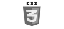 css3